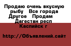 Продаю очень вкусную рыбу - Все города Другое » Продам   . Дагестан респ.,Каспийск г.